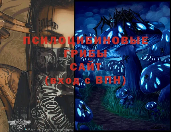 гидра Кукмор