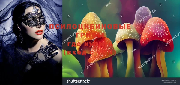 хмурый Куйбышев