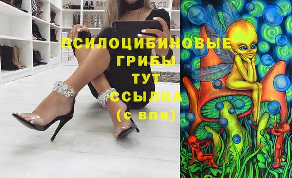 хмурый Куйбышев